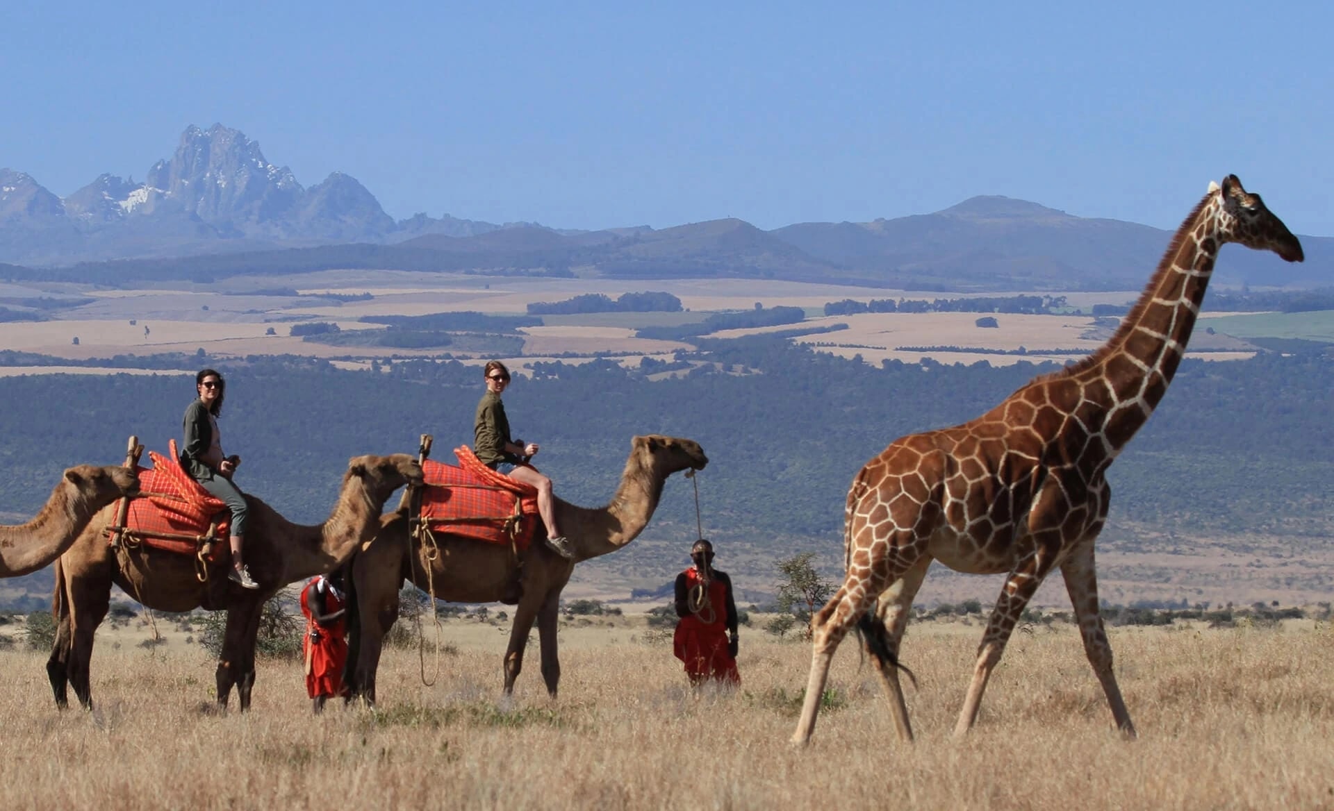 Laikipia Plateau