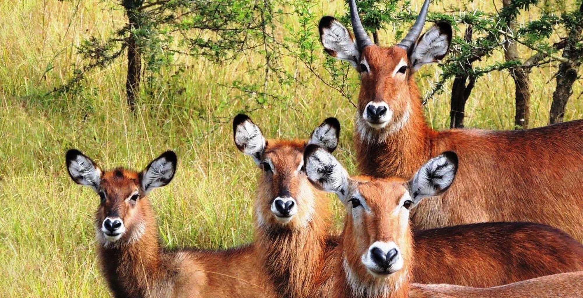 Lake Mburo National Park