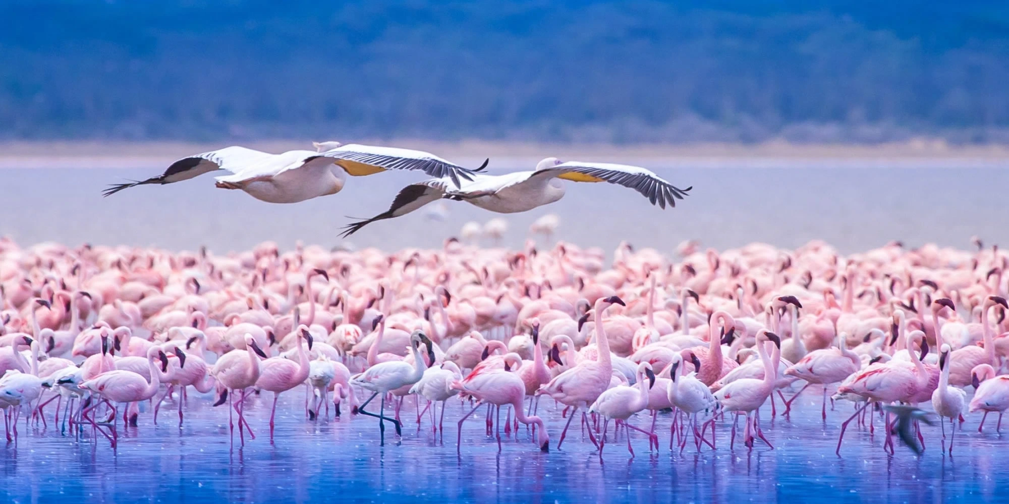 Lake Nakuru National Park