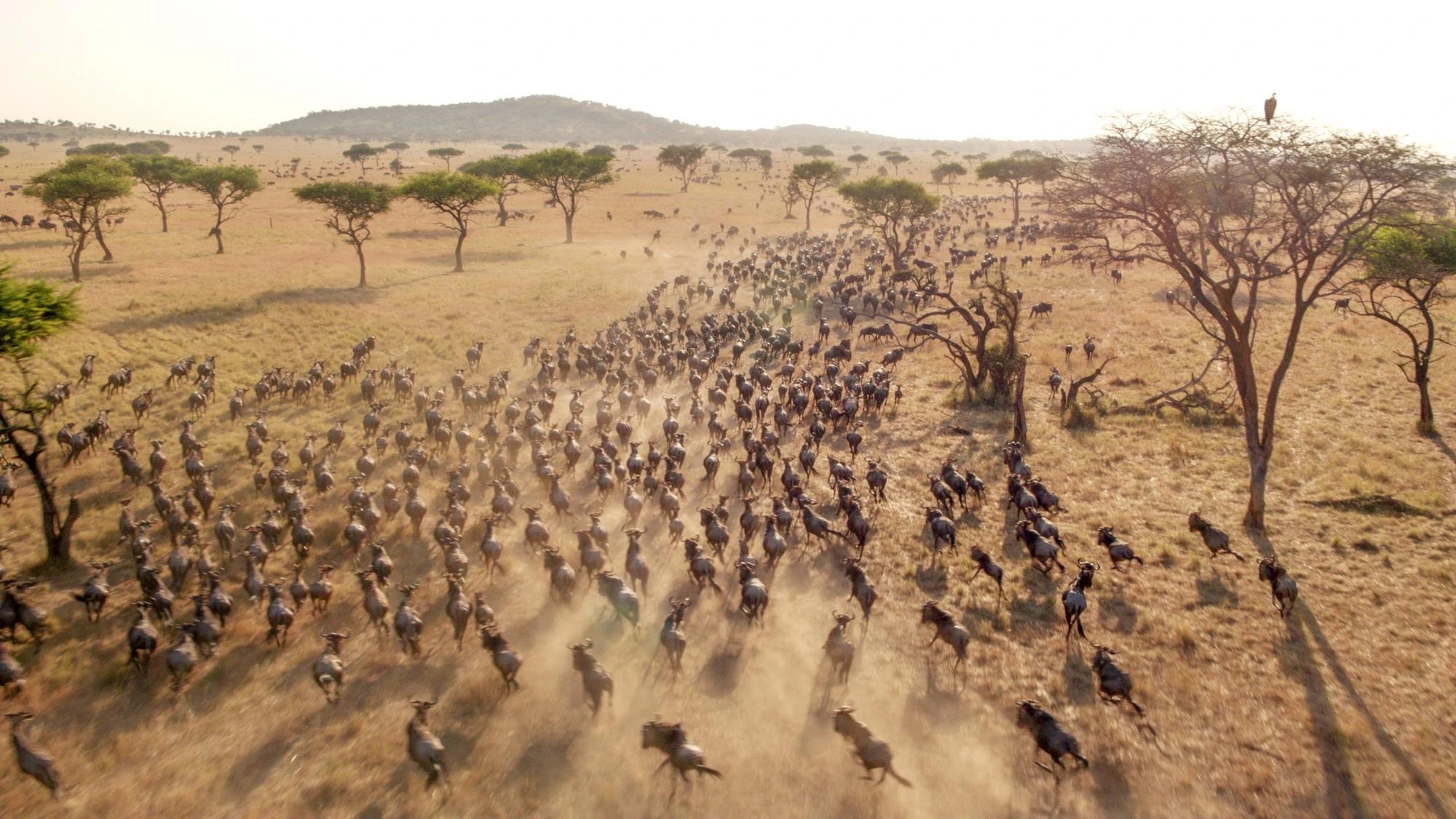 Maasai Mara National Reserve