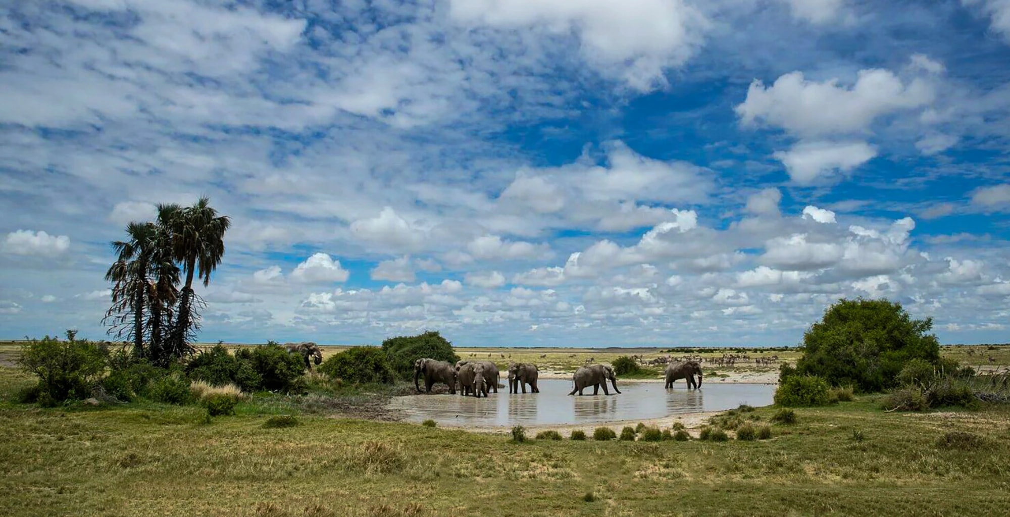 Makgadikgadi Pans