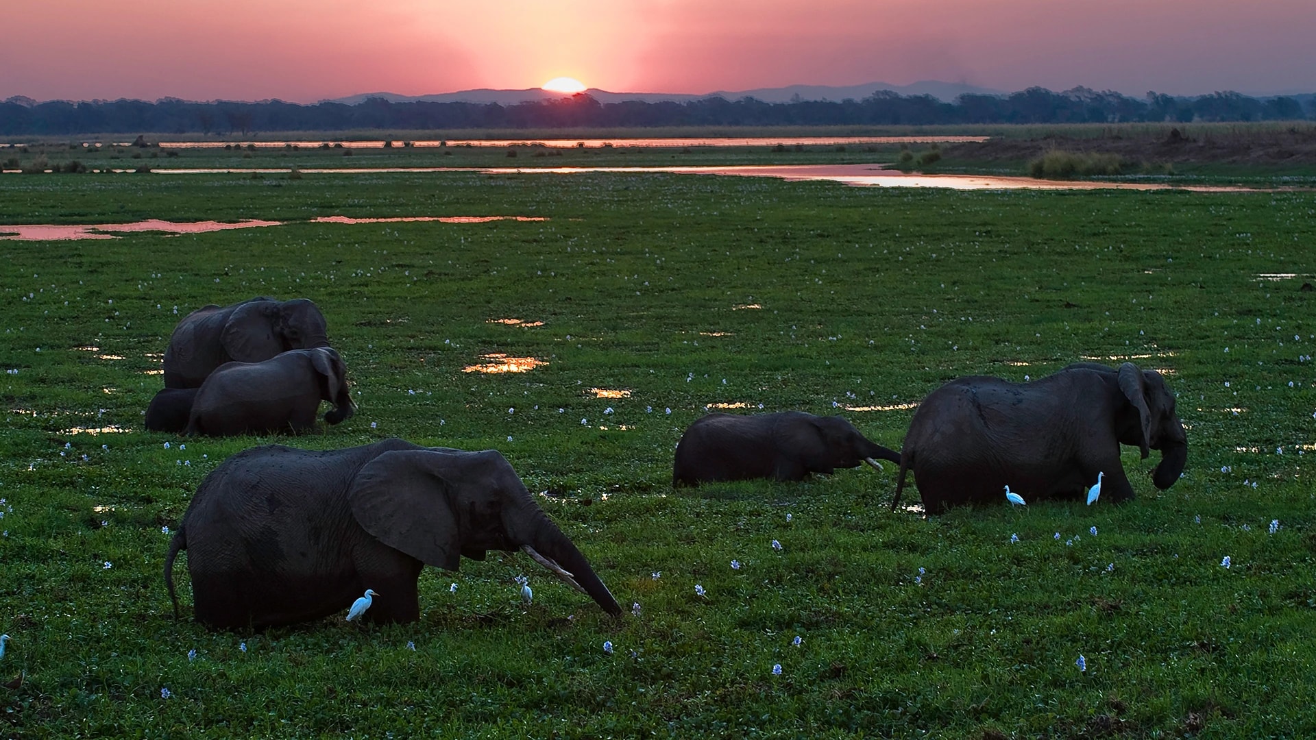 Mana Pools National Park