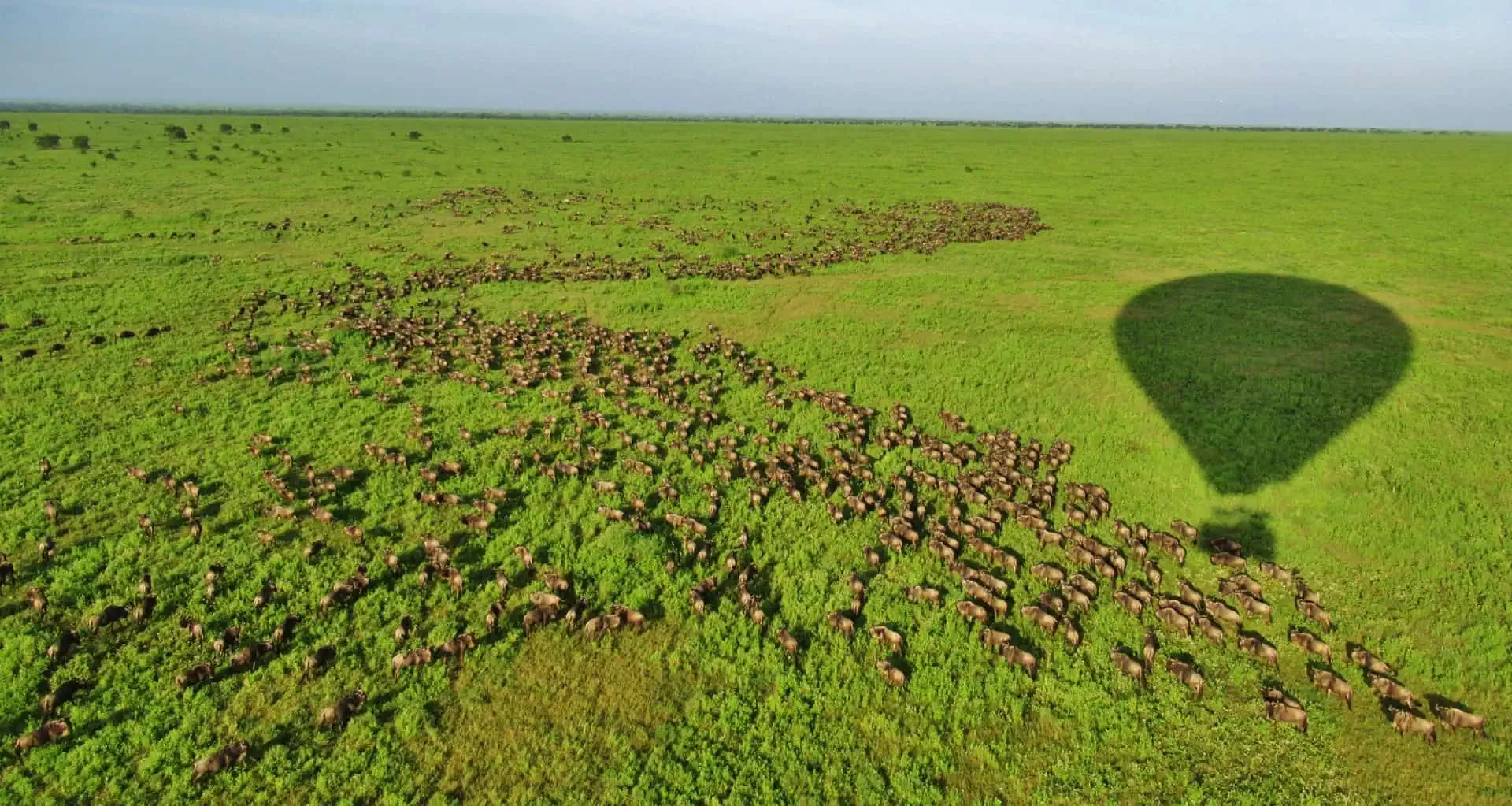 Classic Tanzania Safari: Serengeti & Ngorongoro