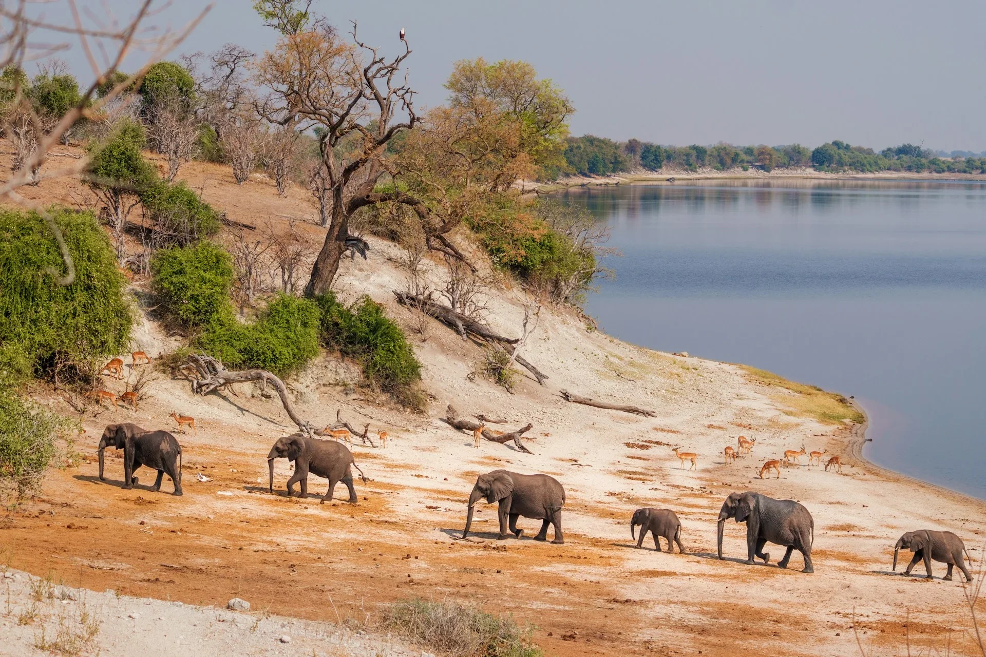 Garden Route & Addo Elephant Safari