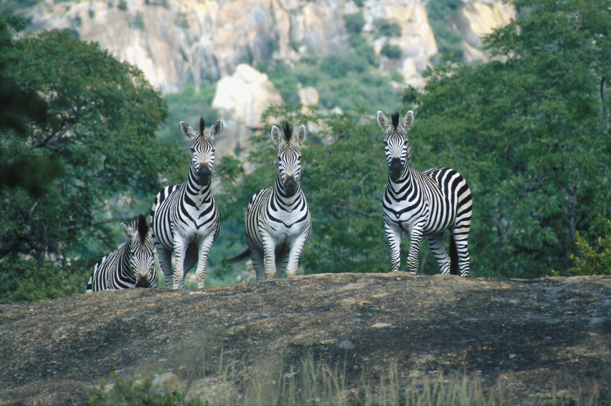 Matobo Hills & Great Zimbabwe Ruins