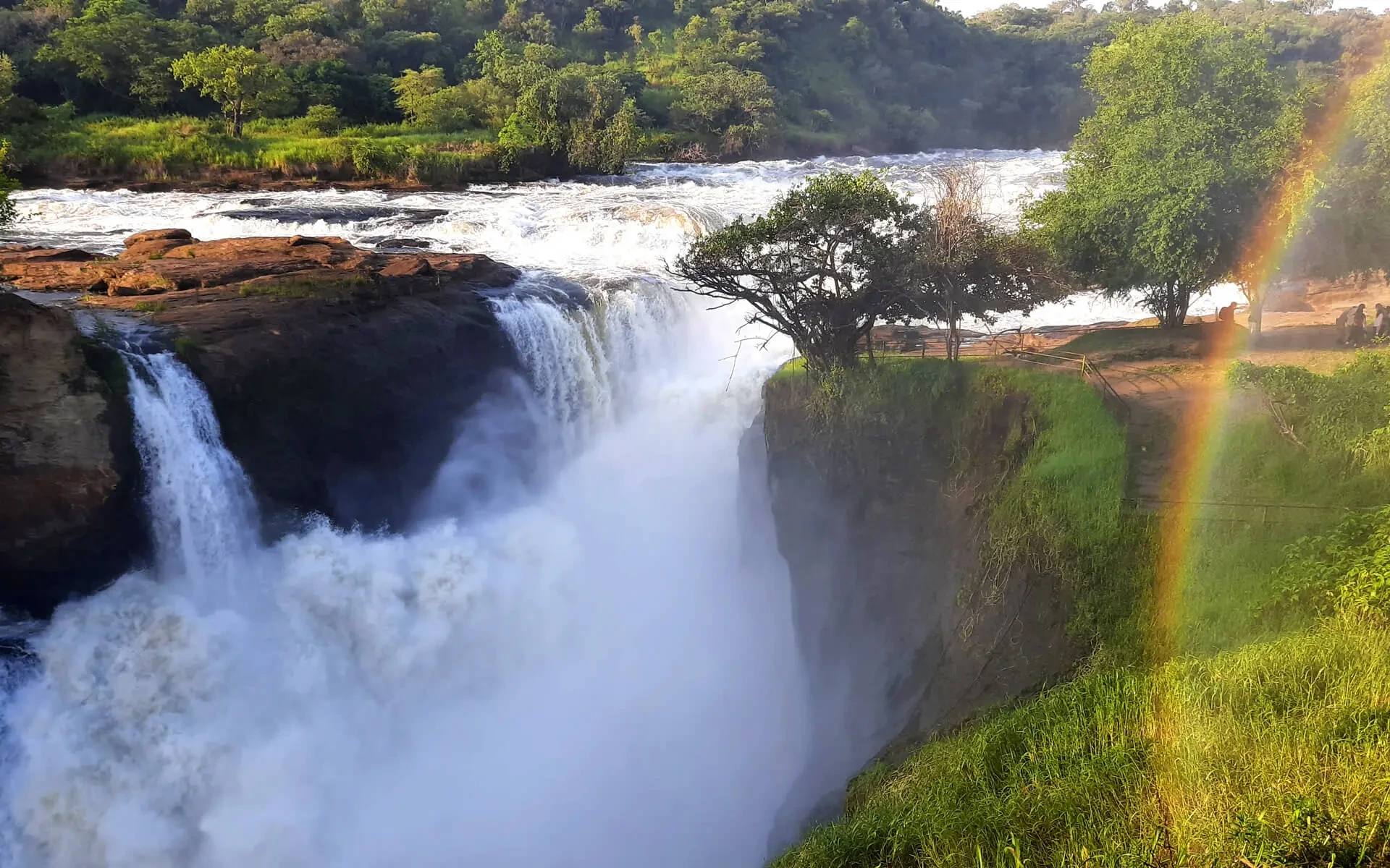 Murchison Falls & Queen Elizabeth Safari