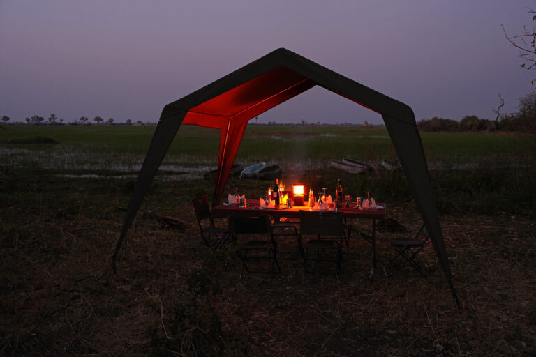 Luxury Safari in the Okavango Delta – 10 days