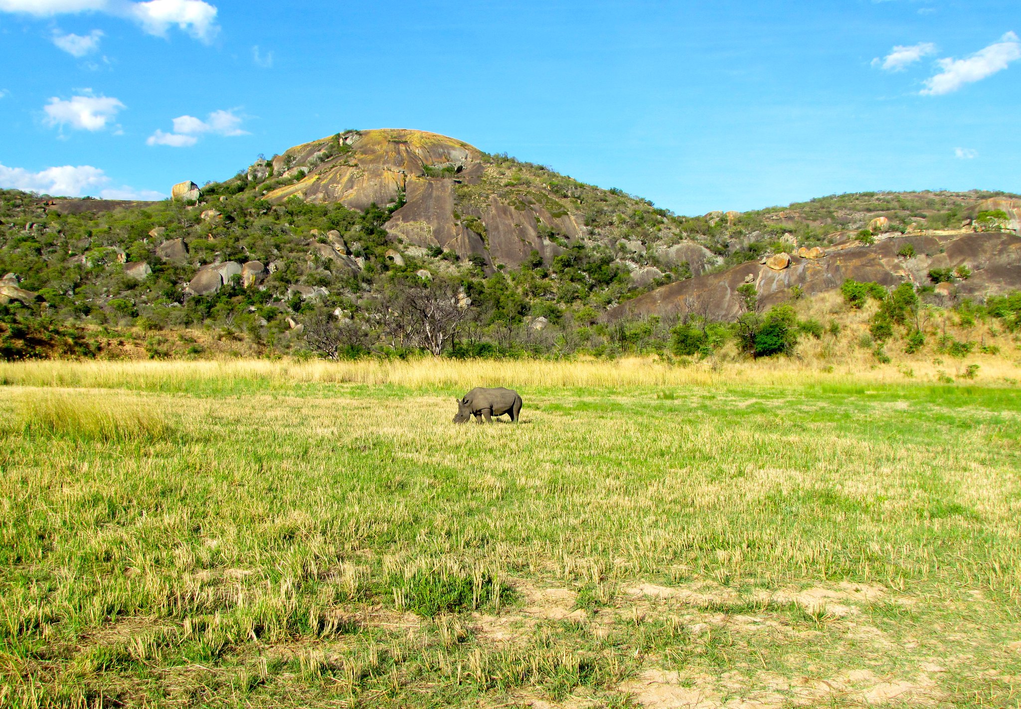 Matobo Hills and Great Zimbabwe Ruins Tour – 8 days