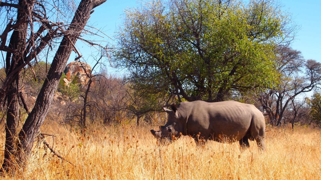 Matobo National Park