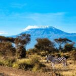 Mount Kilimanjaro