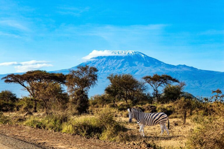 Mount Kilimanjaro