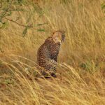 Murchison Falls National Park