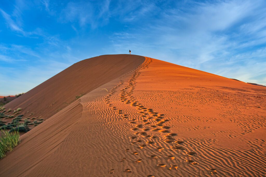 Namib Desert