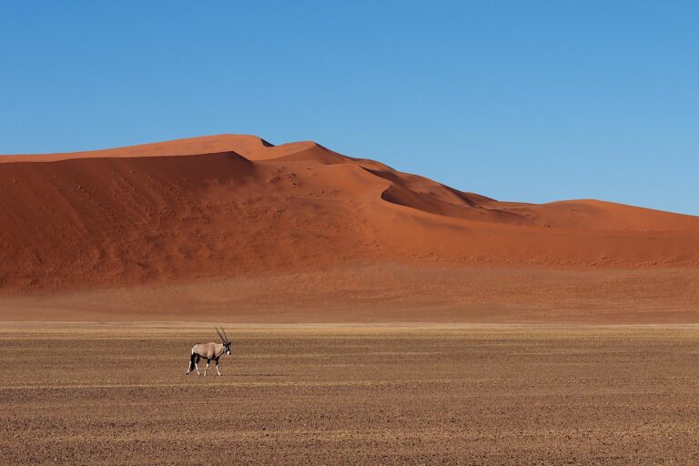 Namib Desert and Sossusvlei Expedition – 6 days