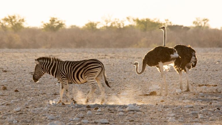 Namibia Photography Tour – 12 days