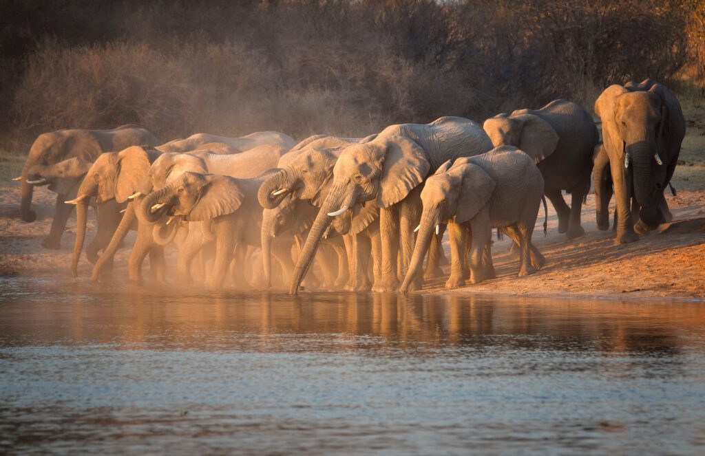 Okavango River