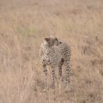 Serengeti National Park