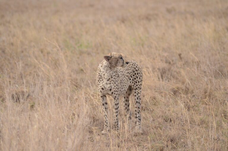 Serengeti National Park