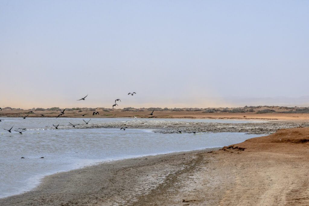 Skeleton Coast