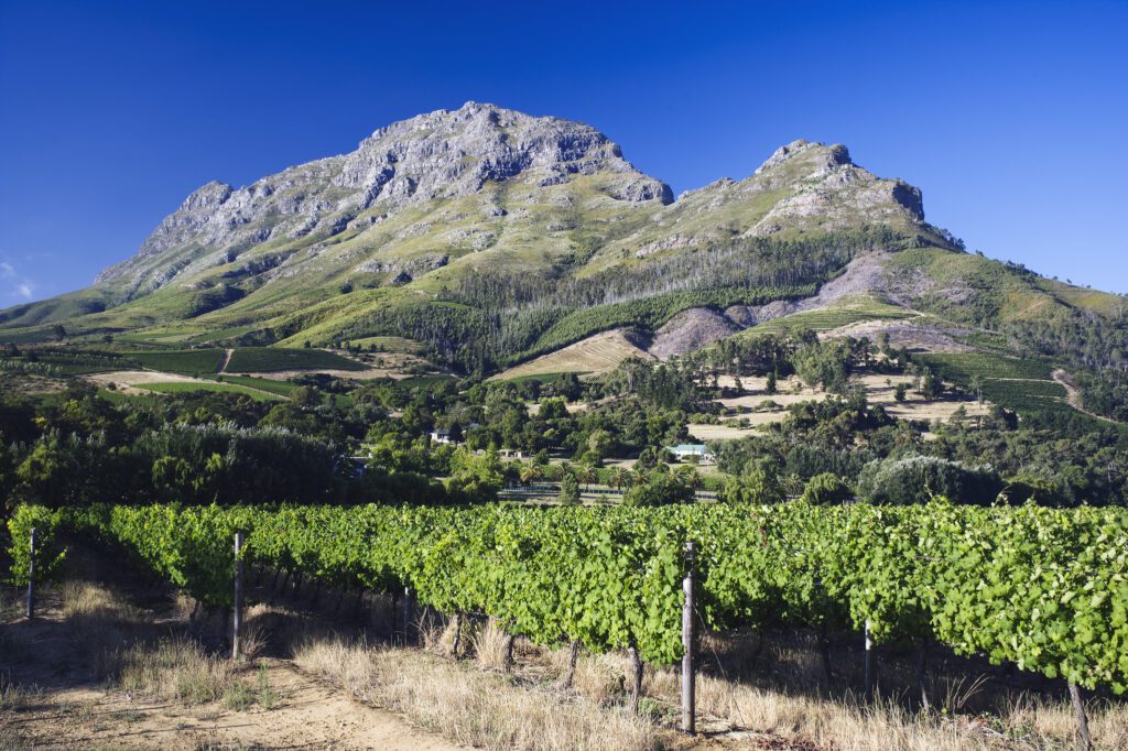 Stellenbosch