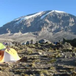 7-Day Kilimanjaro’s Umbwe Route